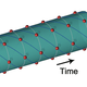 Image: T. Li et al., Phys. Rev. Lett. (2012)